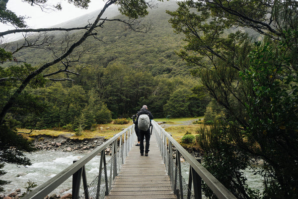 Backpackers Gallery