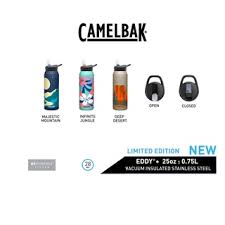 Camelbak Eddy+ Insulated Stainless Steel Water Bottle with Straw  - Limited Edition