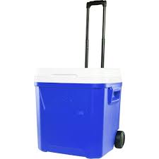 Igloo - Insulated Cooler Jug For Outdoor activities