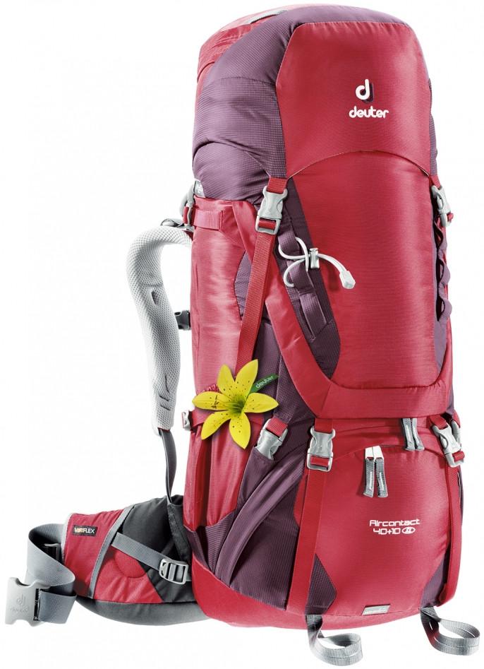 Deuter Air contact 40 + 10 SL Cranberry-Aubergine - Backpackers Gallery